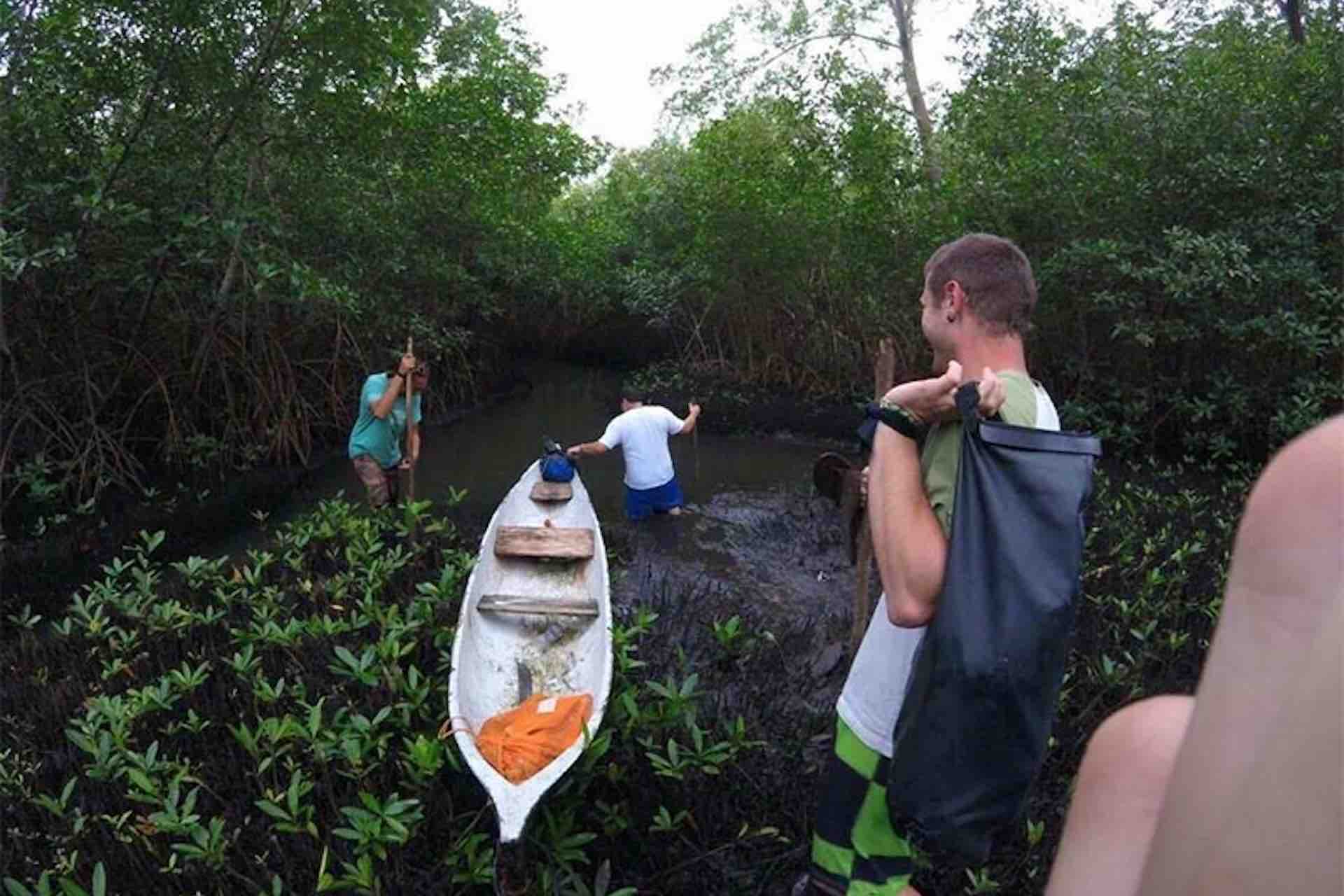 Portobelo Jungle & Reef Adventure – Kayak, Trek & Snorkel Eco Tour jungle adventure