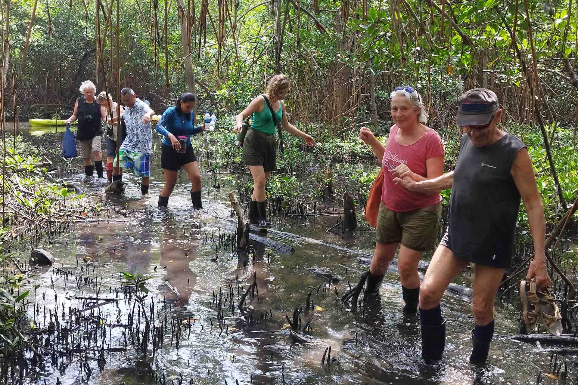 Portobelo Jungle & Reef Adventure – Kayak, Trek & Snorkel Eco Tour jungle hike