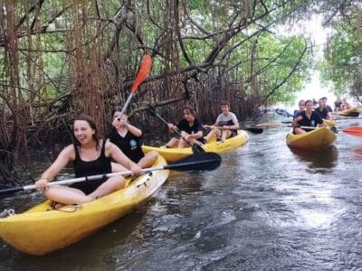 Portobelo Jungle & Reef Adventure – Kayak, Trek & Snorkel Eco Tour mangrove