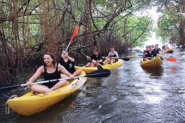 Portobelo Jungle & Reef Adventure – Kayak, Trek & Snorkel Eco Tour cayuku padel Portobelo Jungle & Reef Adventure – Kayak, Trek & Snorkel Eco Tour mangrove