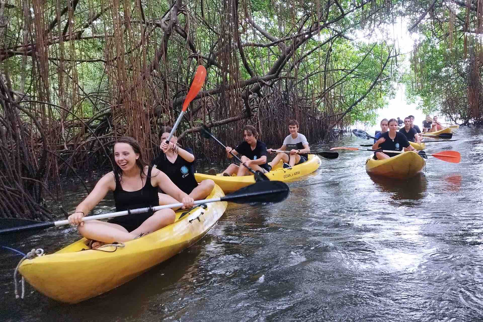 Portobelo Jungle & Reef Adventure – Kayak, Trek & Snorkel Eco Tour mangrove