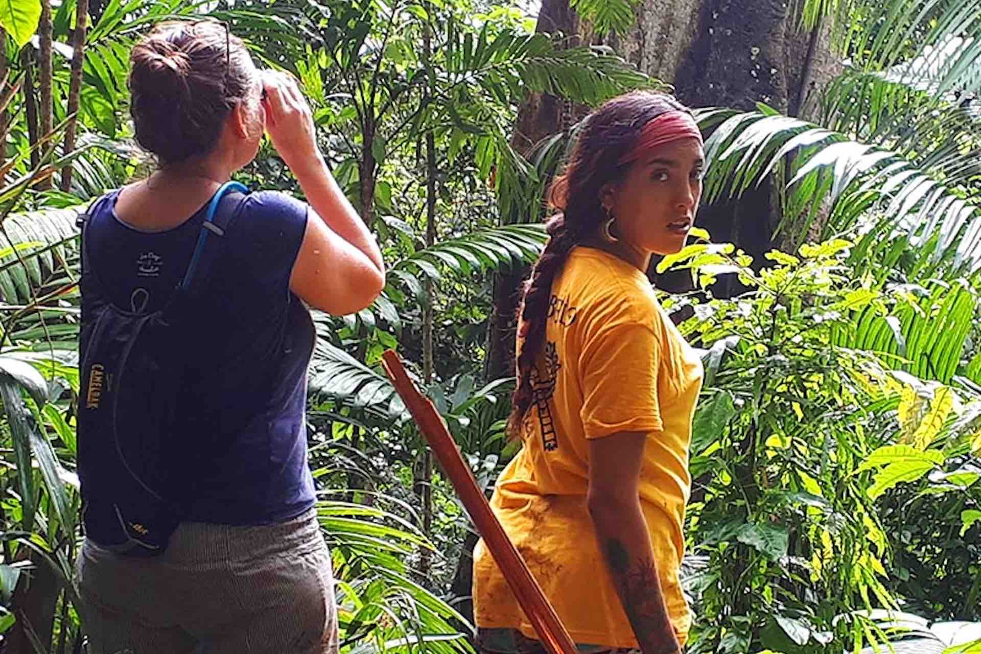 Portobelo Jungle & Reef Adventure – Kayak, Trek & Snorkel Eco Tour nature walk