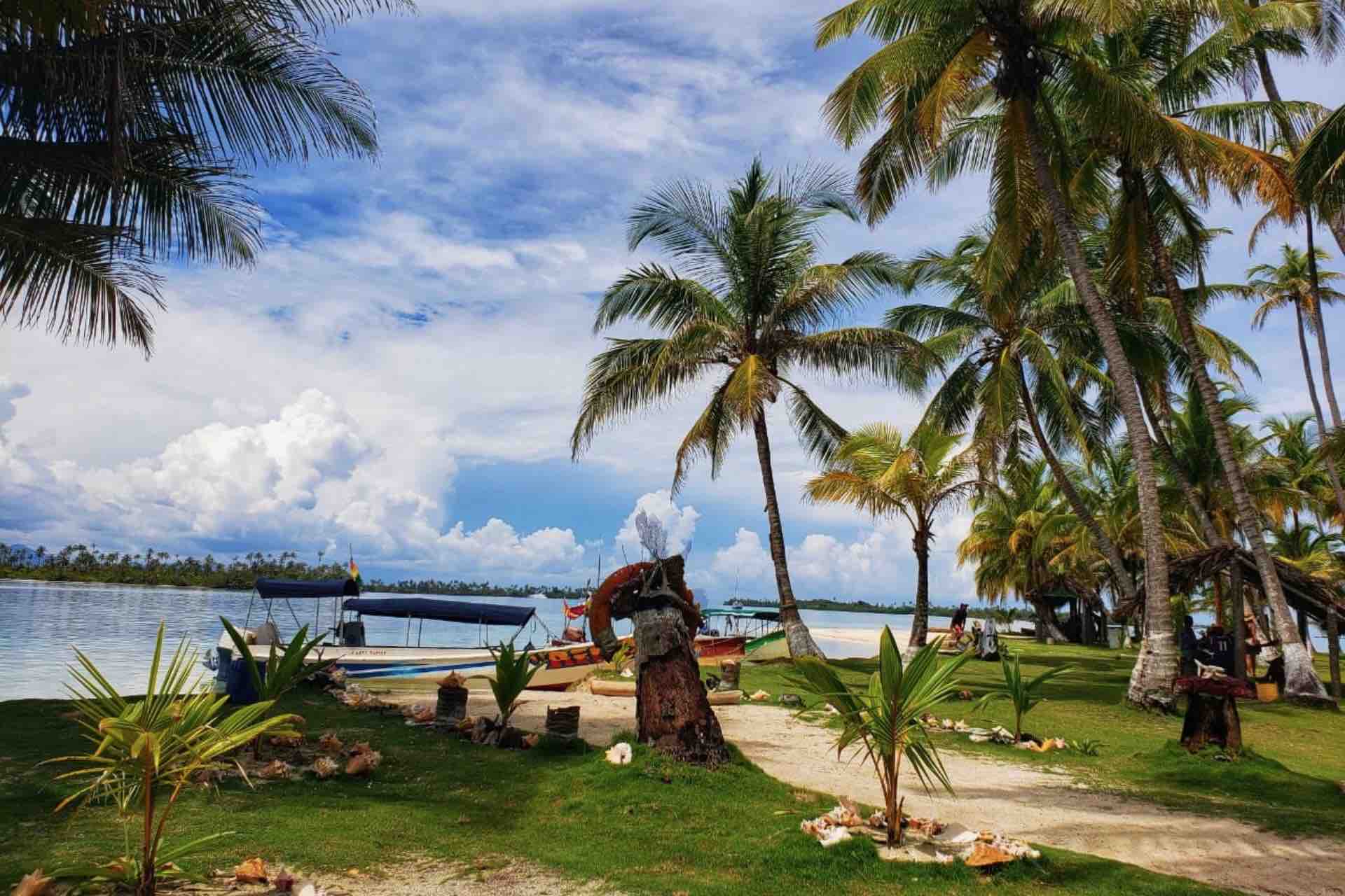 San Blas islands tour Holandeses panama island vegetation palm trees