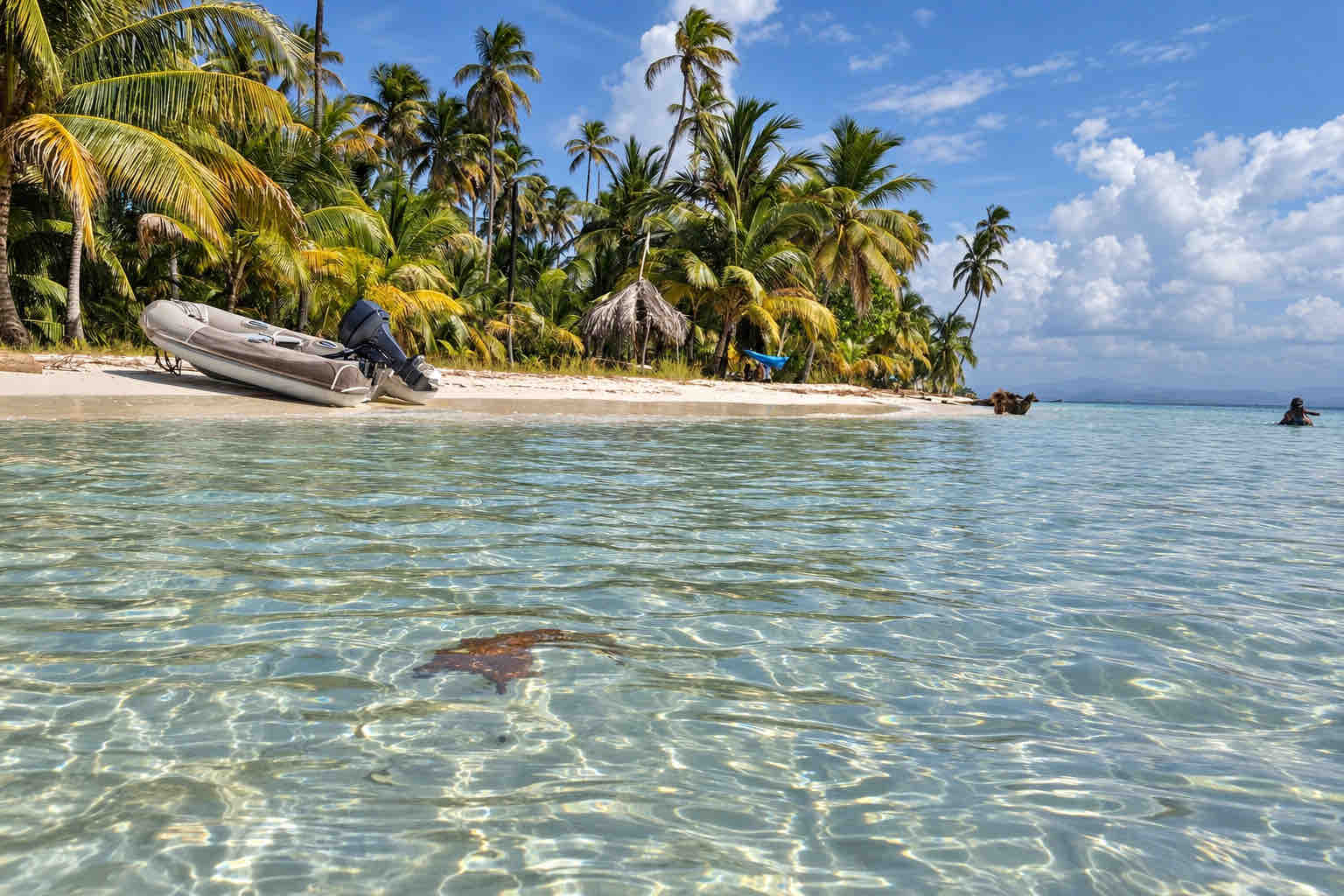 Clear shallow water beside a palm-lined beach in the San Blas Islands
