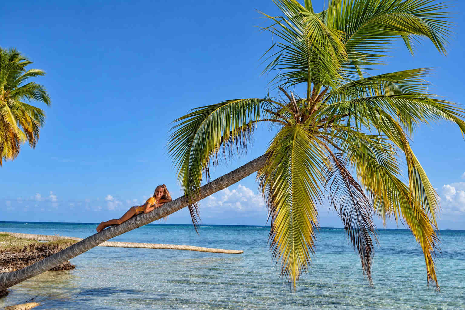 Person resting on a leaning palm tree above the sea in San Blas