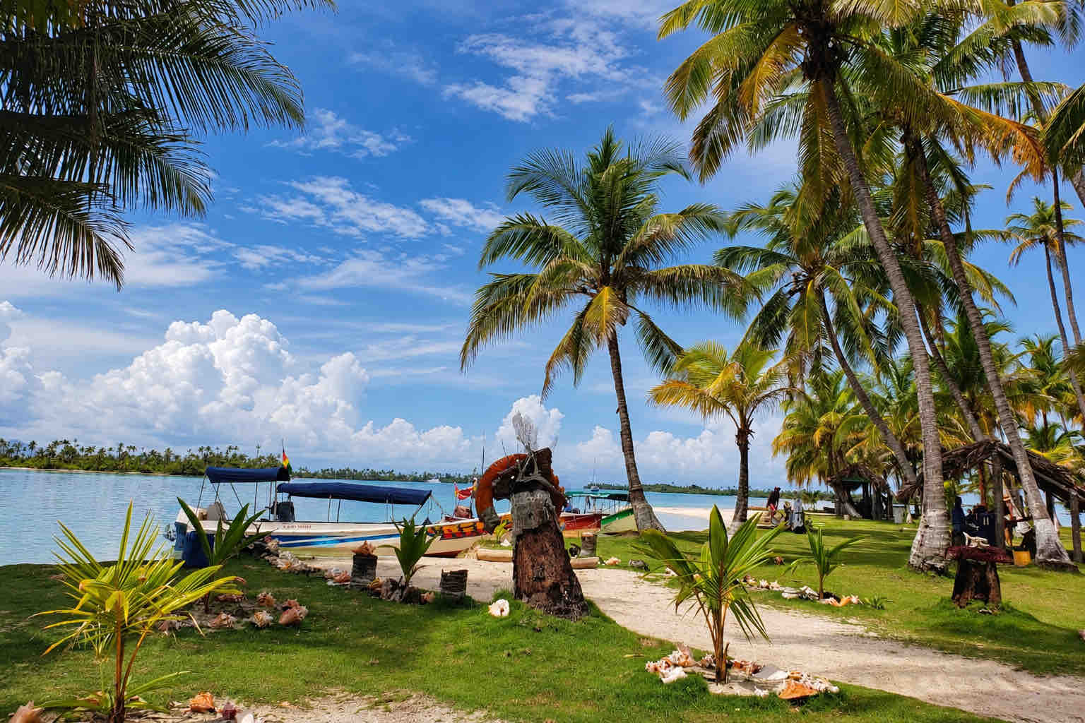 Palm grove and sandy shoreline beside calm San Blas water