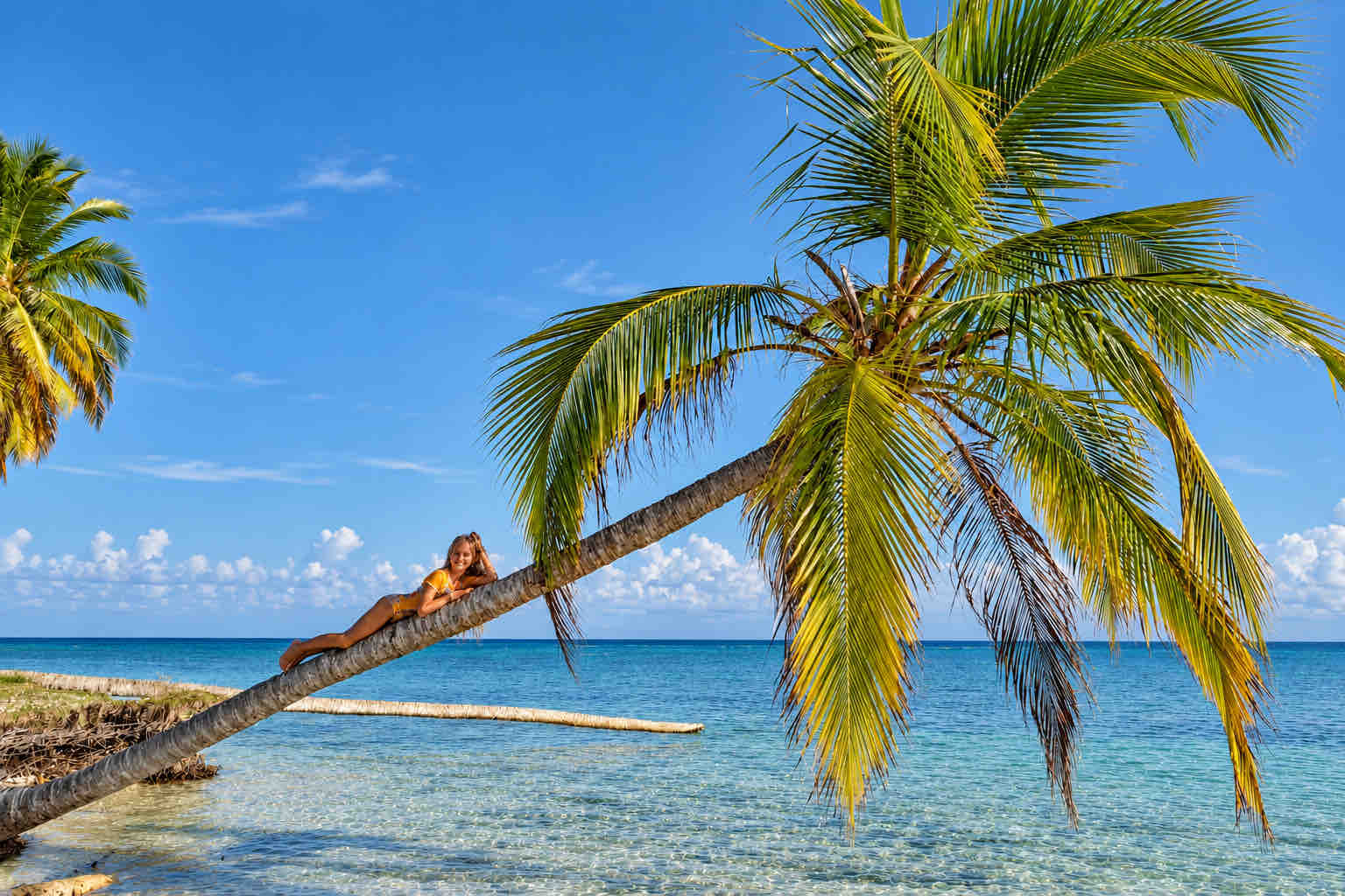 Woman in yellow resting on a leaning palm above the water in Cayos Holandeses, San Blas.
