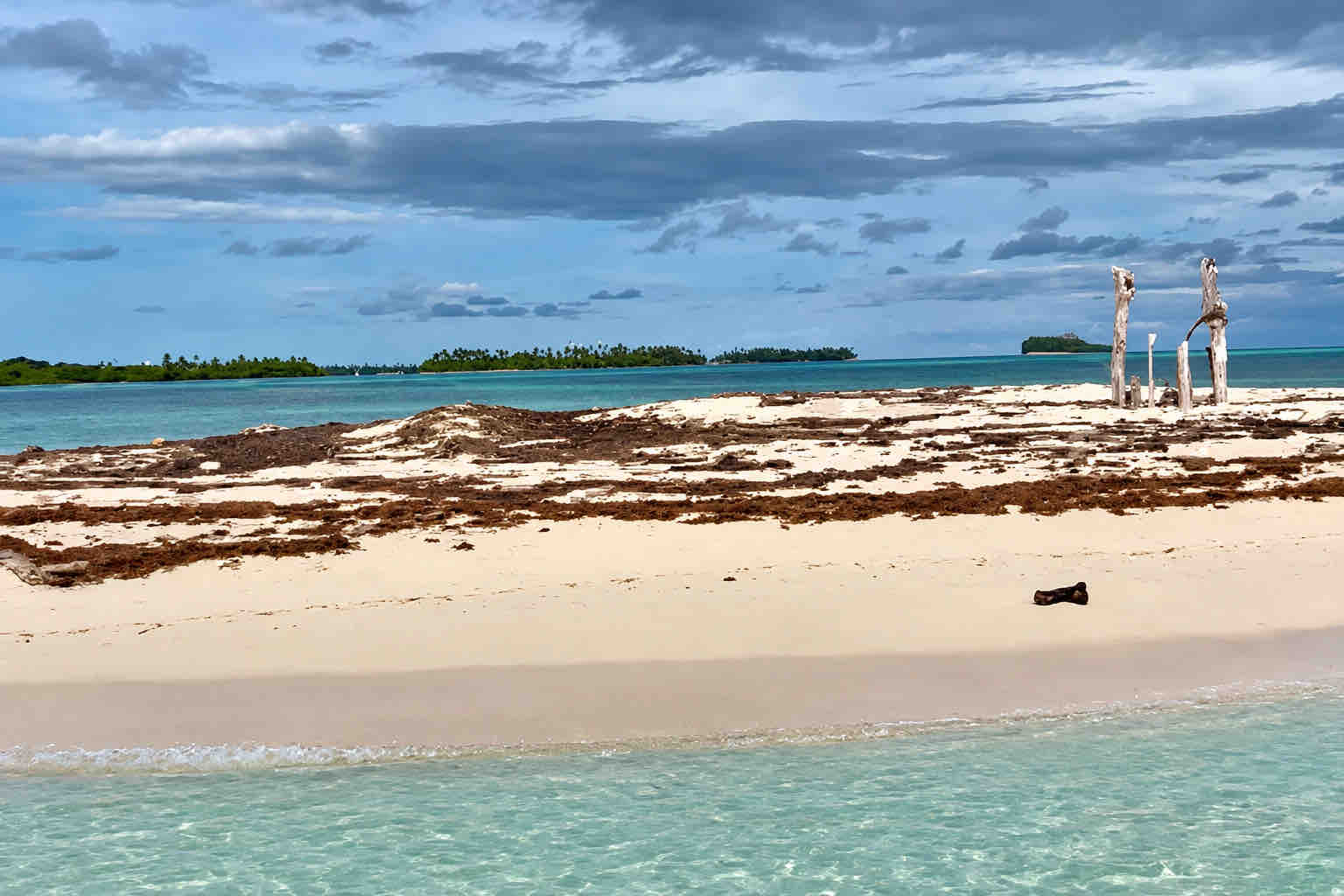 White-sand Holandeses shoreline with seaweed, driftwood and distant islands.