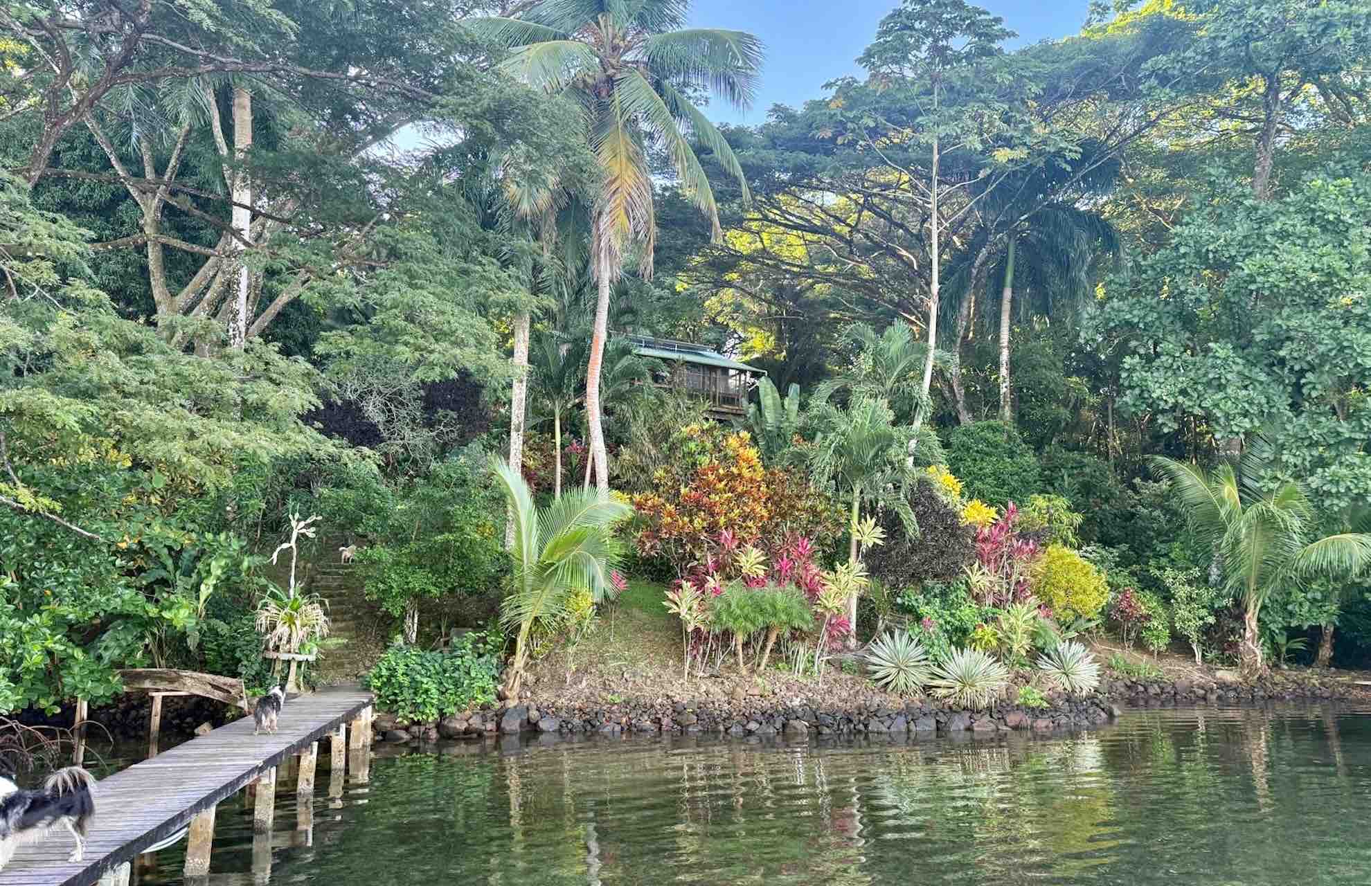 bocas del toro tour chocolate farm cacao dock