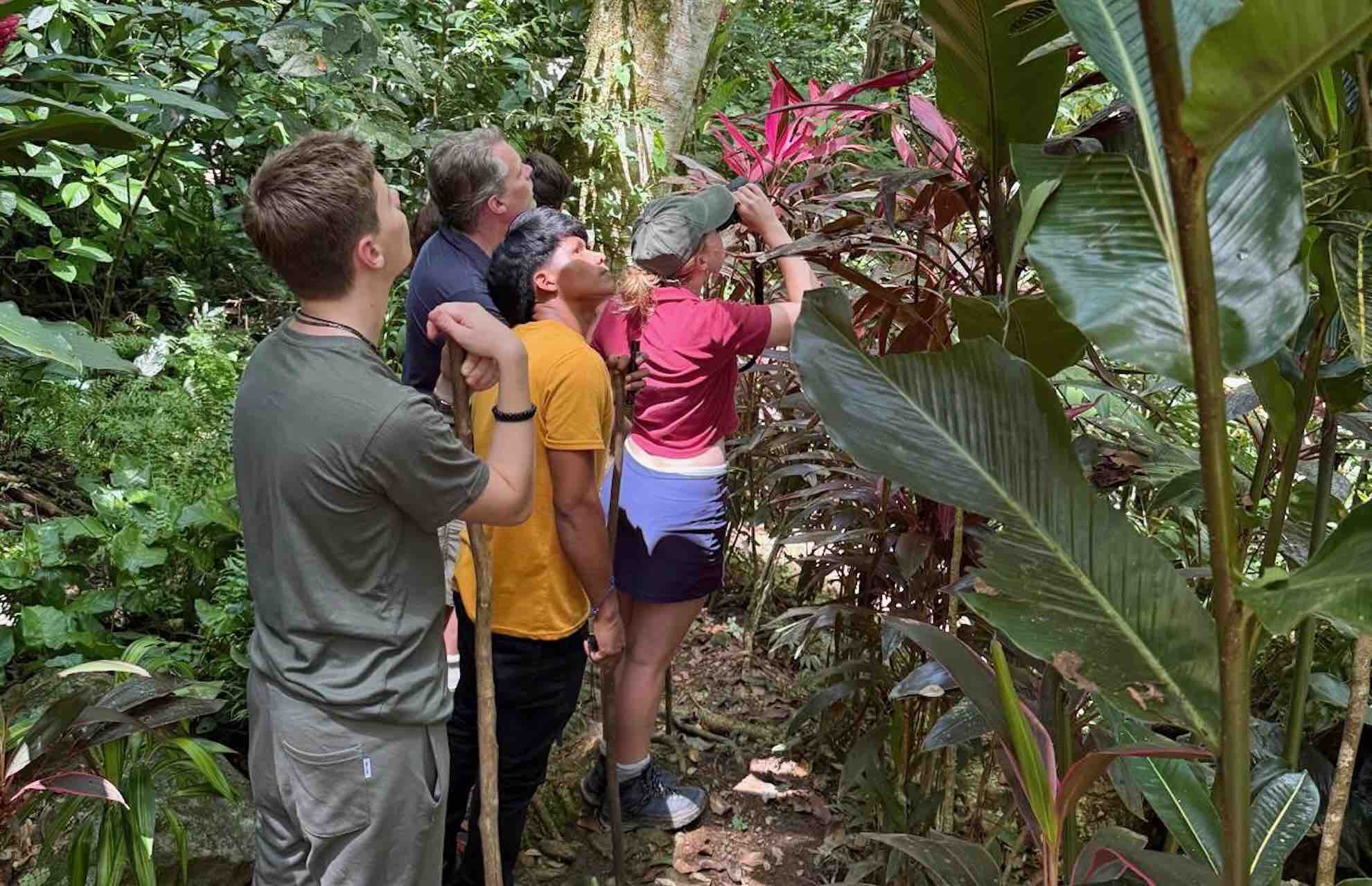 bocas del toro tour chocolate farm cacao guided tour