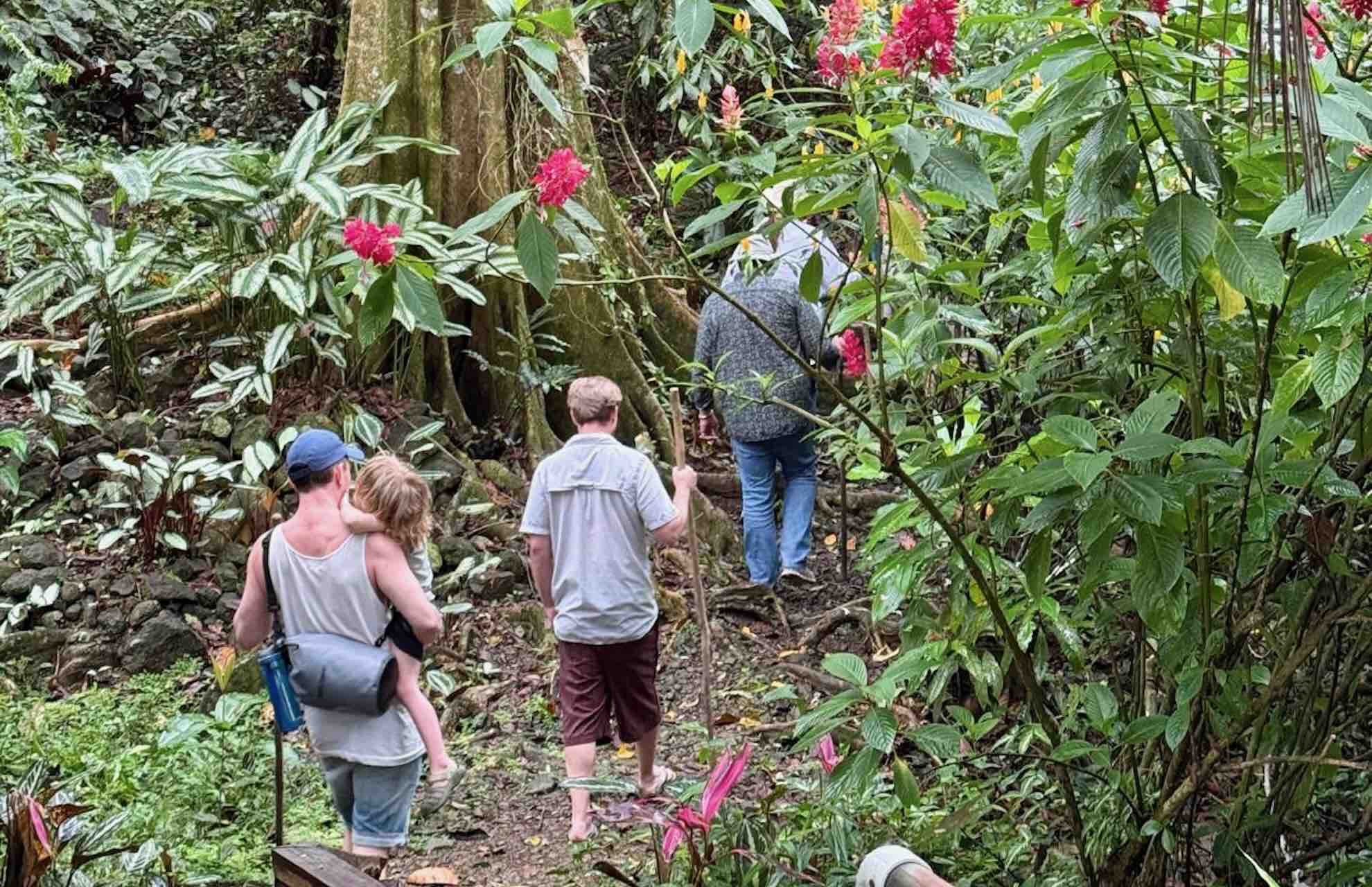 bocas del toro tour chocolate farm cacao tour group walking