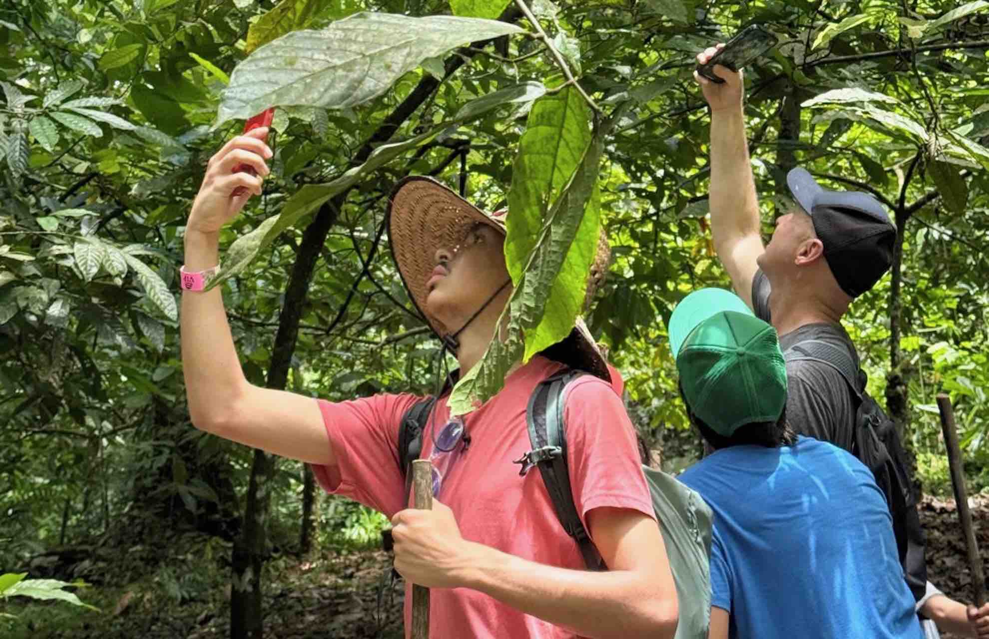 bocas del toro tour chocolate farm cacao tour guests photo