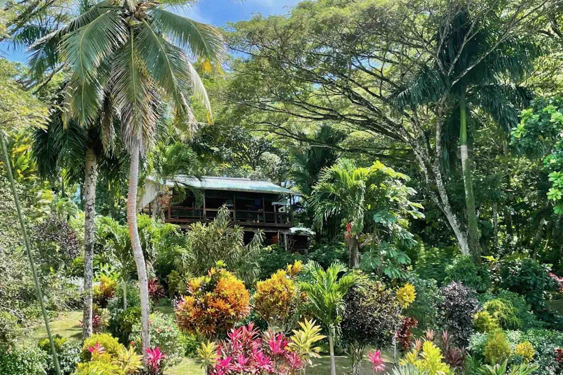 bocas del toro tour chocolate farm green acres