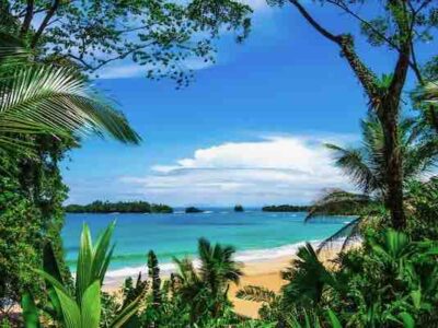 bocas del toro tour red frog beach view