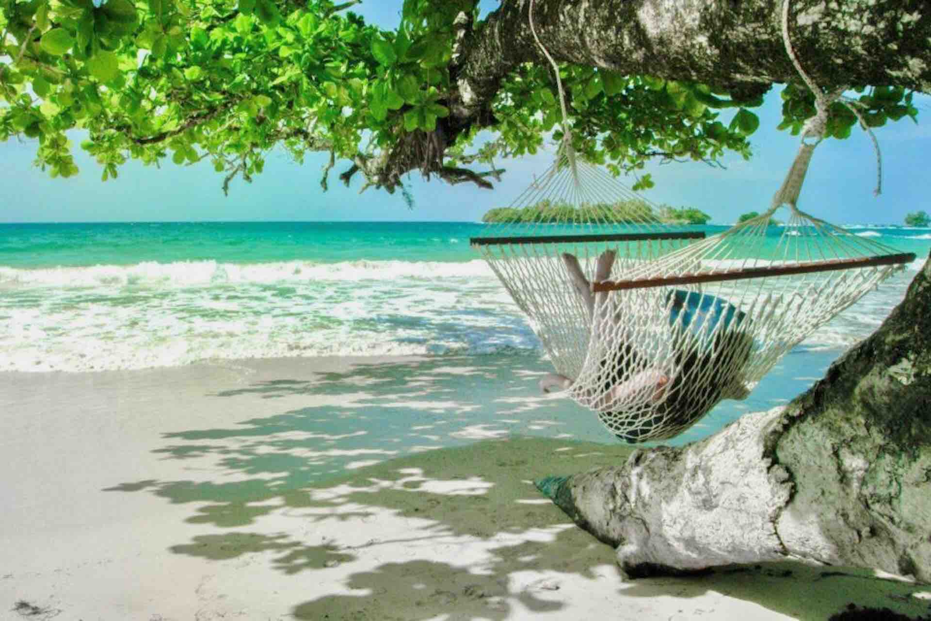 Red Frog Beach Canopy Bocas Del Toro Real Deal Team Experience