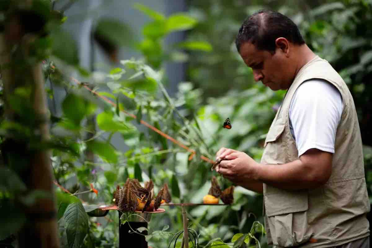 Monkey Island &Amp; Sloth Sanctuary Tour In Panama City – My Complete Experience + Tips 8 Monkey Island & Sloth Sanctuary Tour, Panama wildlife tours, Panama City tours, Panama wildlife day trips feeding a monkey on a boat butterfly garden